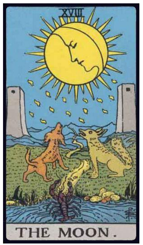 Tarot Card